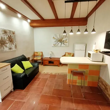 Aymara De Starapstenerife * El Sauzal