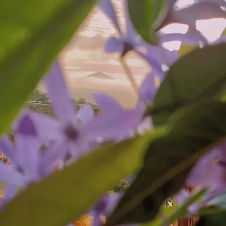 Aymara De Starapstenerife *